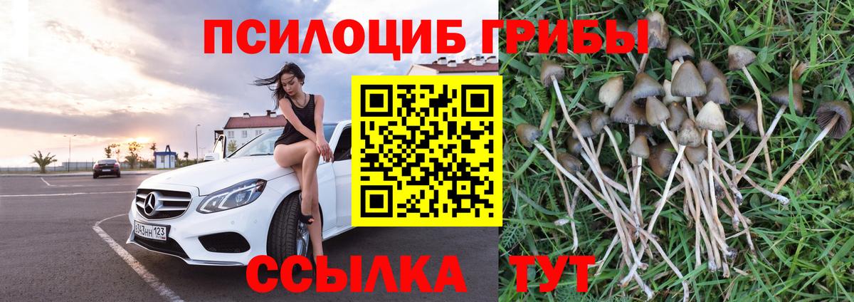 Псилоцибиновые грибы прущие грибы Астрахань