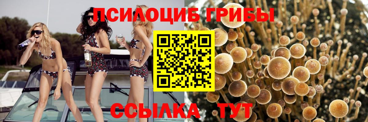 Астрахань  Галлюциногенные грибы GOLDEN TEACHER  где купить наркоту  Вход с VPN 